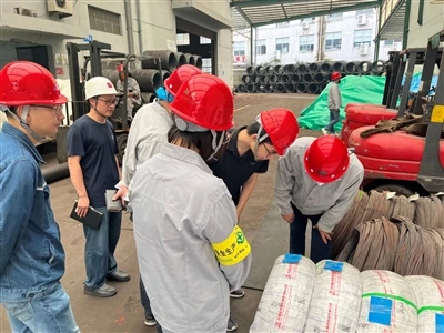 The Korean Partner Came To Visit The Factory