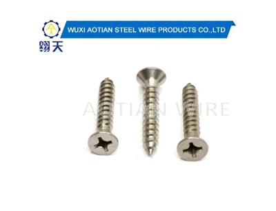 Flat Head Self Tapping Screw.