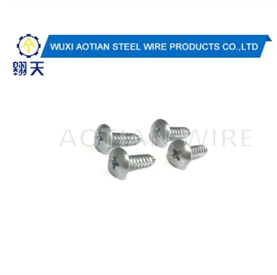 Zinc Plated Self Tapping Screws.