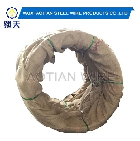 Cold Drawn Hard Iron Wire SAE1006