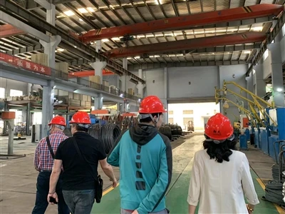 Turkish Customer Come To Visit Our Company