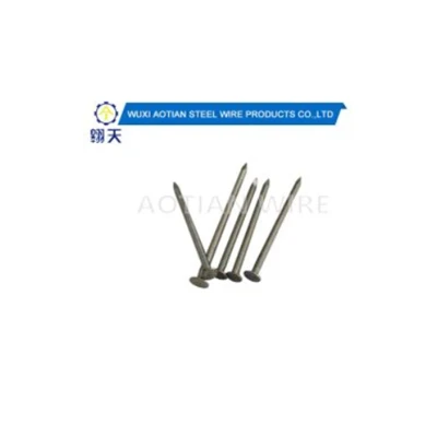 Carbon Steel Round Head Galvanized Concrete Nail.